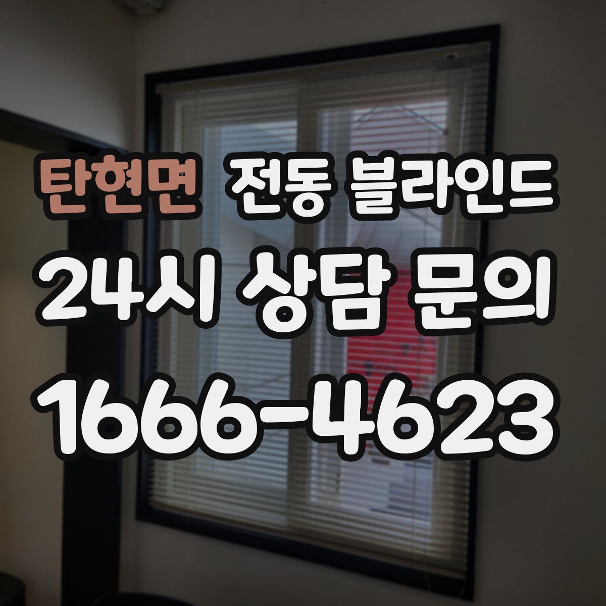 탄현면 전동 블라인드