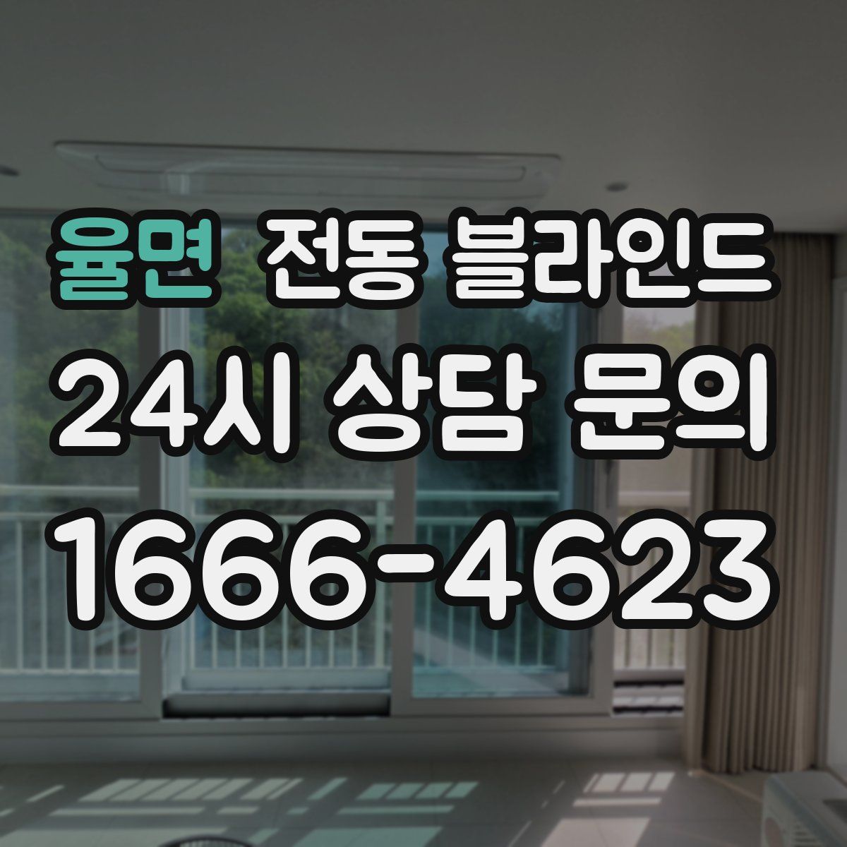율면 전동 블라인드