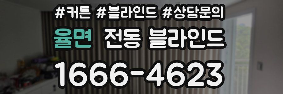 율면 전동 블라인드