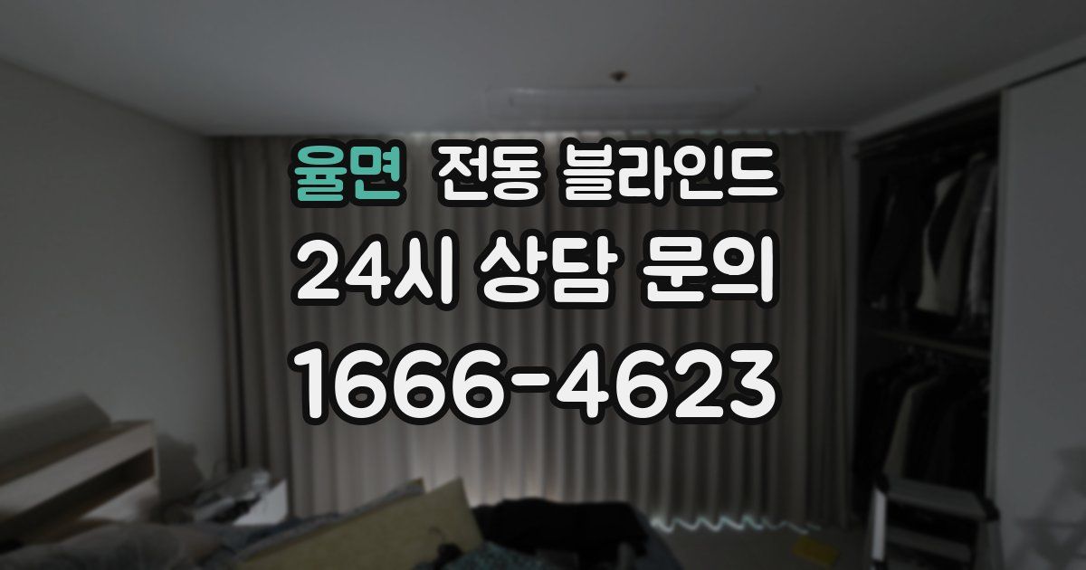 율면 전동 블라인드