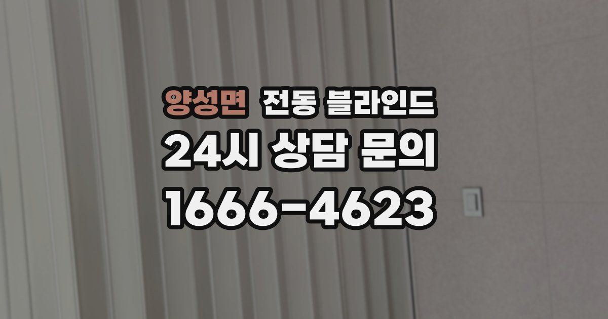 양성면 전동 블라인드