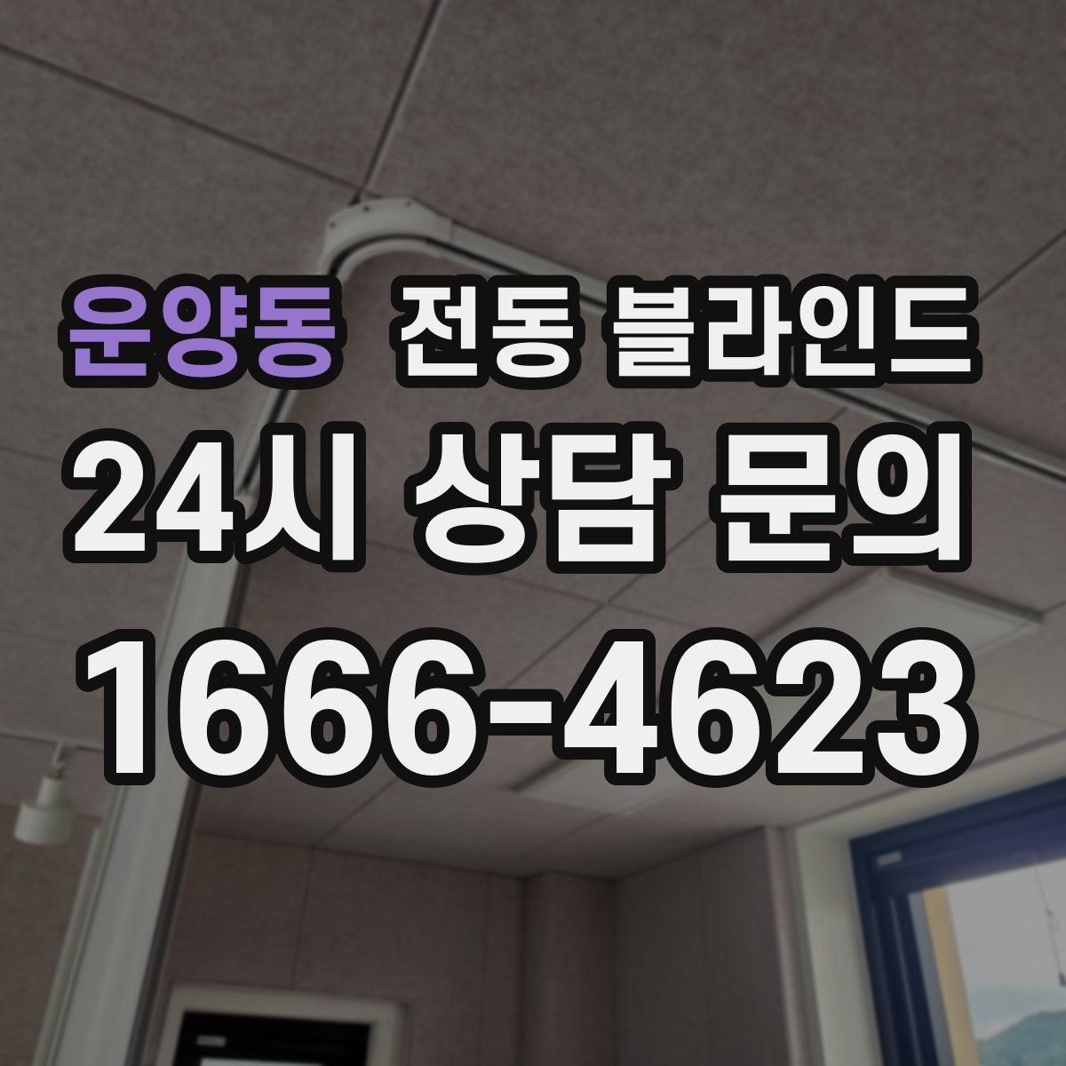 운양동 전동 블라인드