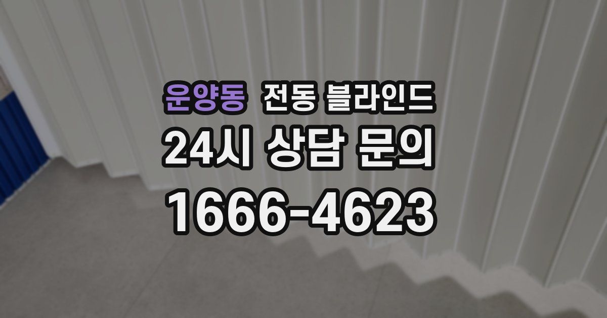 운양동 전동 블라인드