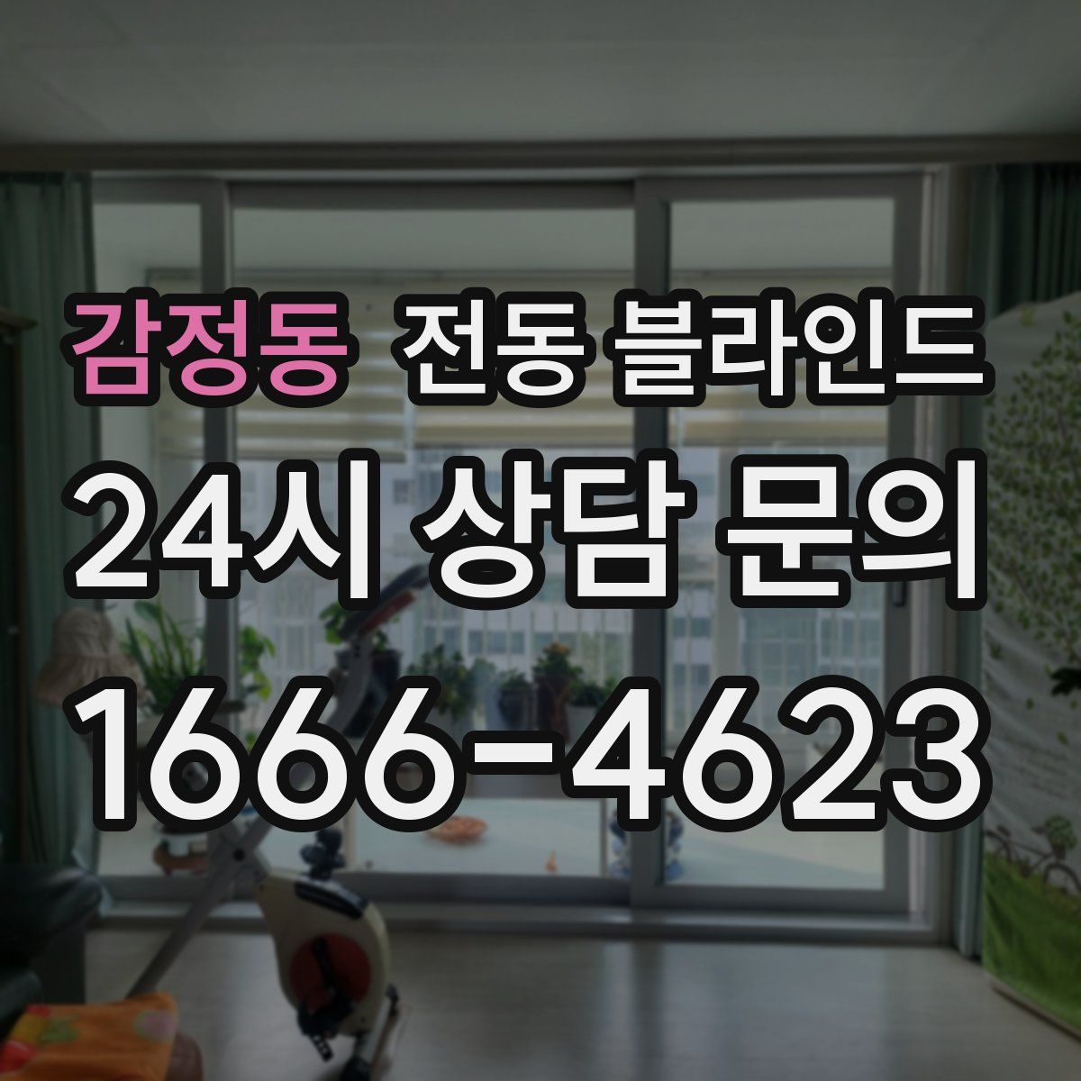 감정동 전동 블라인드