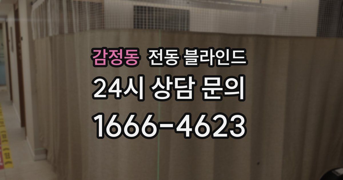 감정동 전동 블라인드