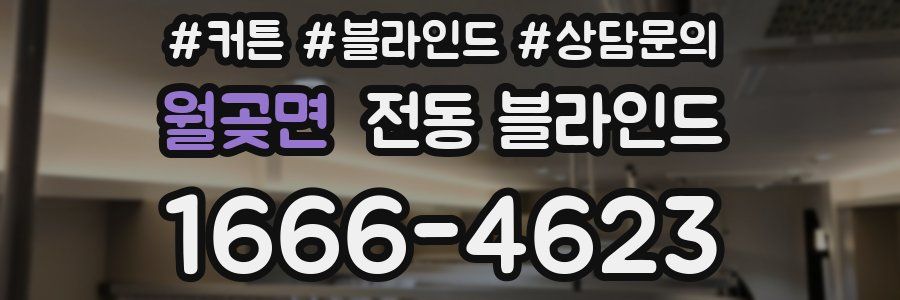 월곶면 전동 블라인드