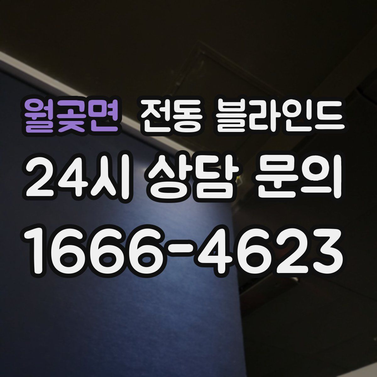 월곶면 전동 블라인드