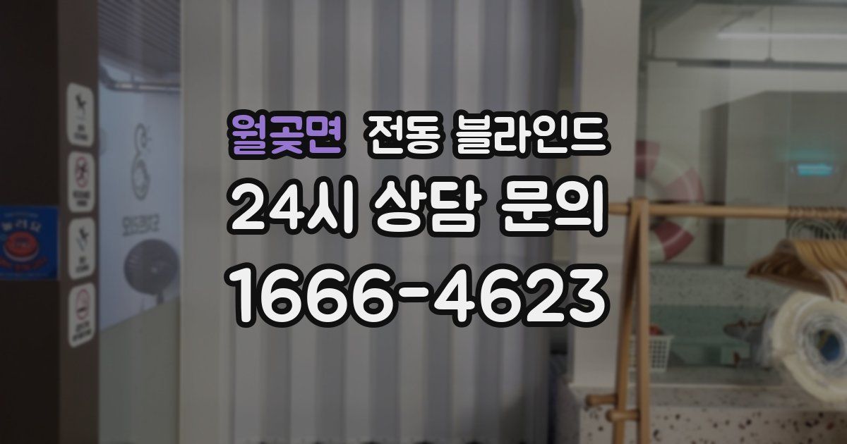 월곶면 전동 블라인드