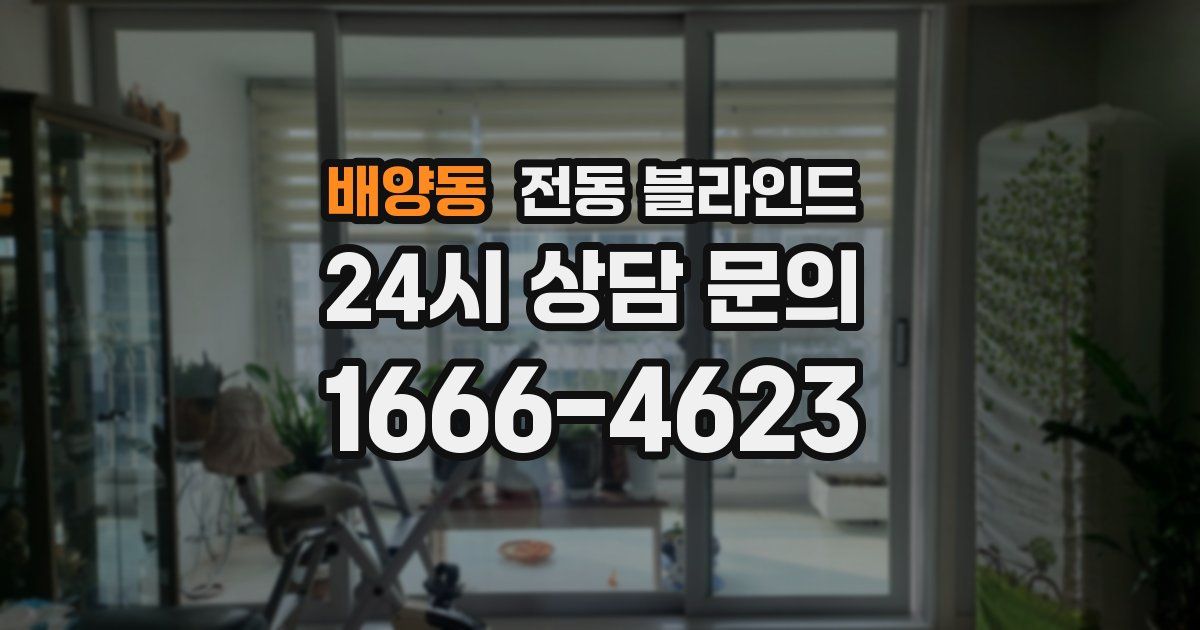 배양동 전동 블라인드