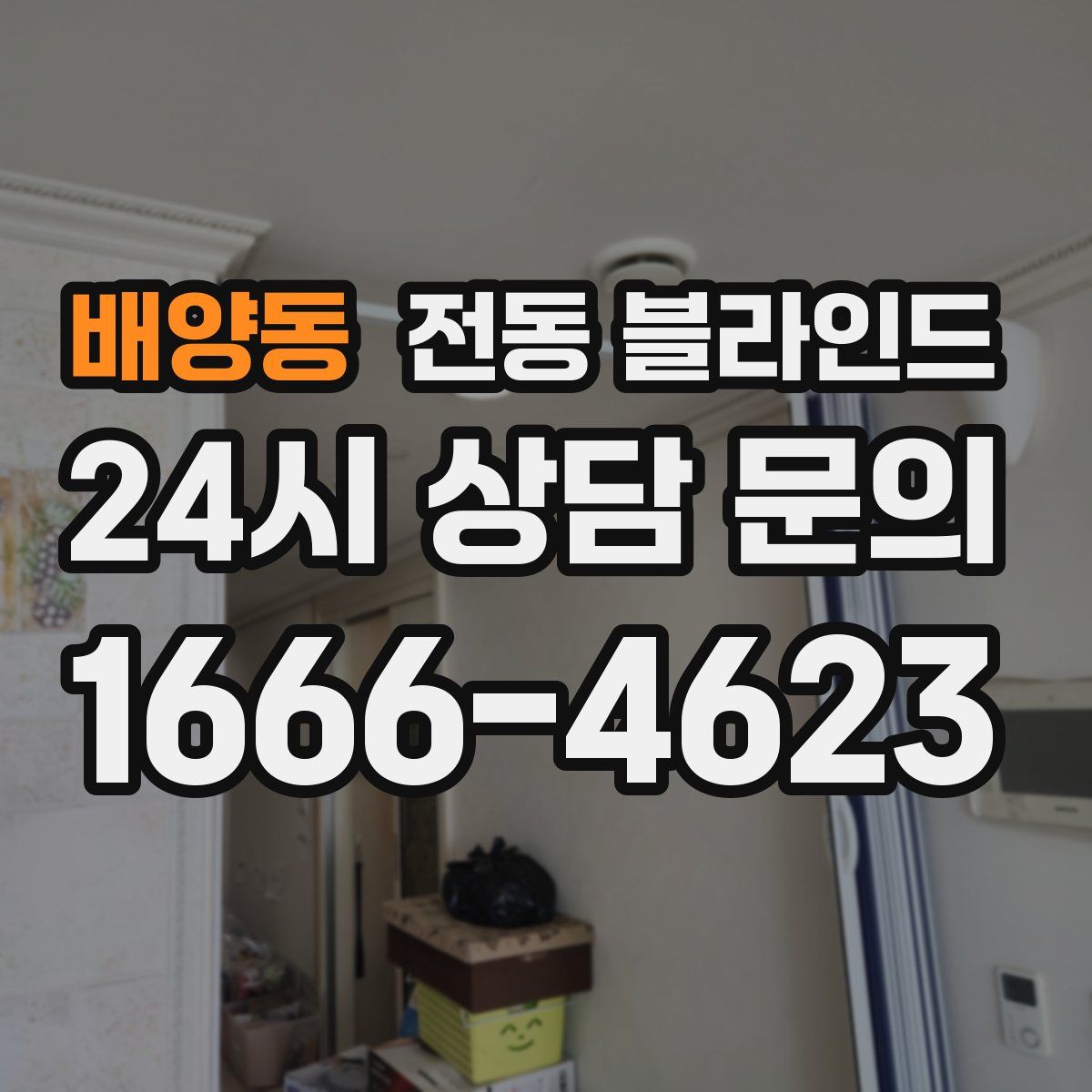 배양동 전동 블라인드