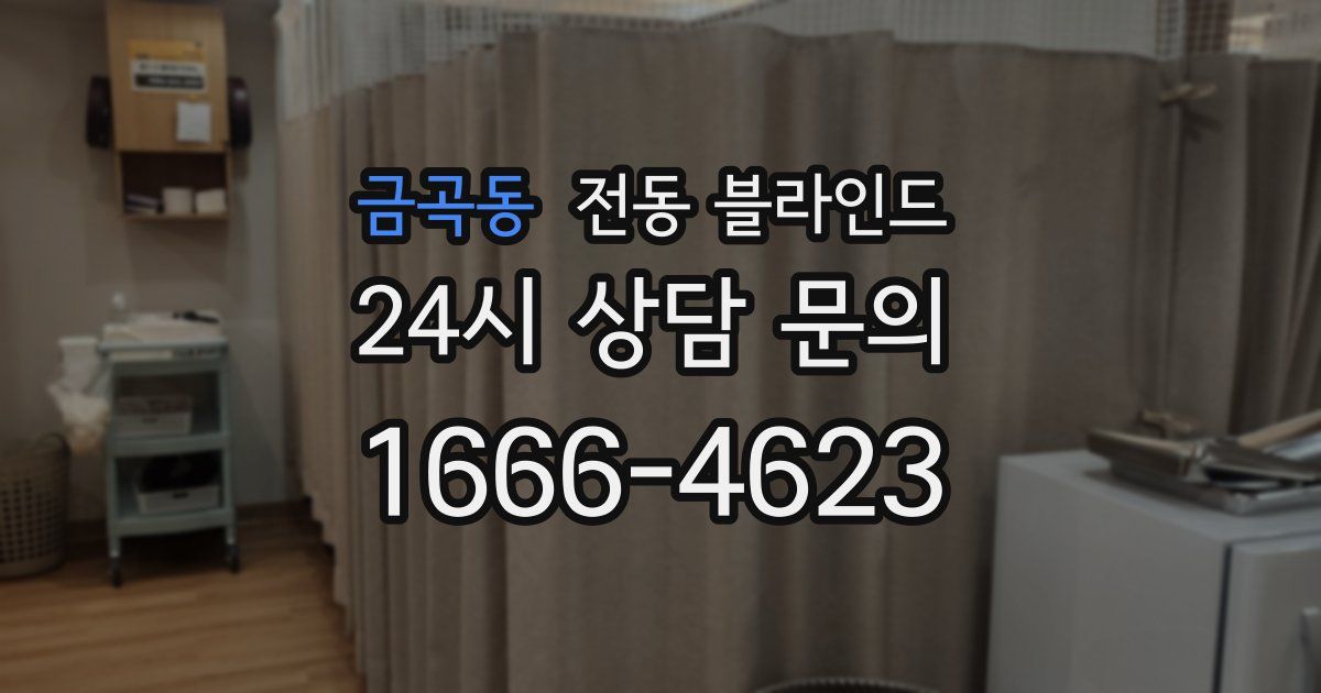 금곡동 전동 블라인드