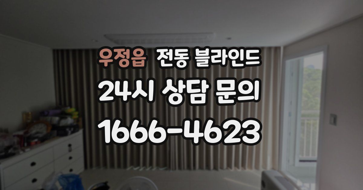 우정읍 전동 블라인드