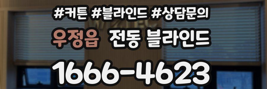 우정읍 전동 블라인드