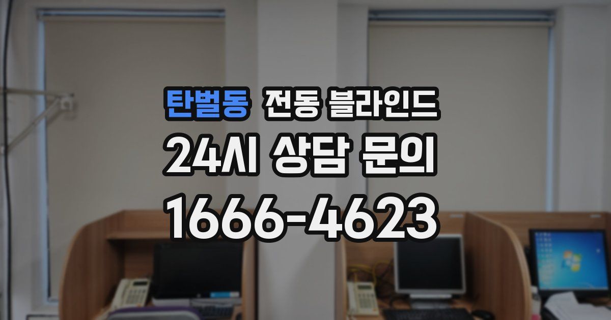 탄벌동 전동 블라인드
