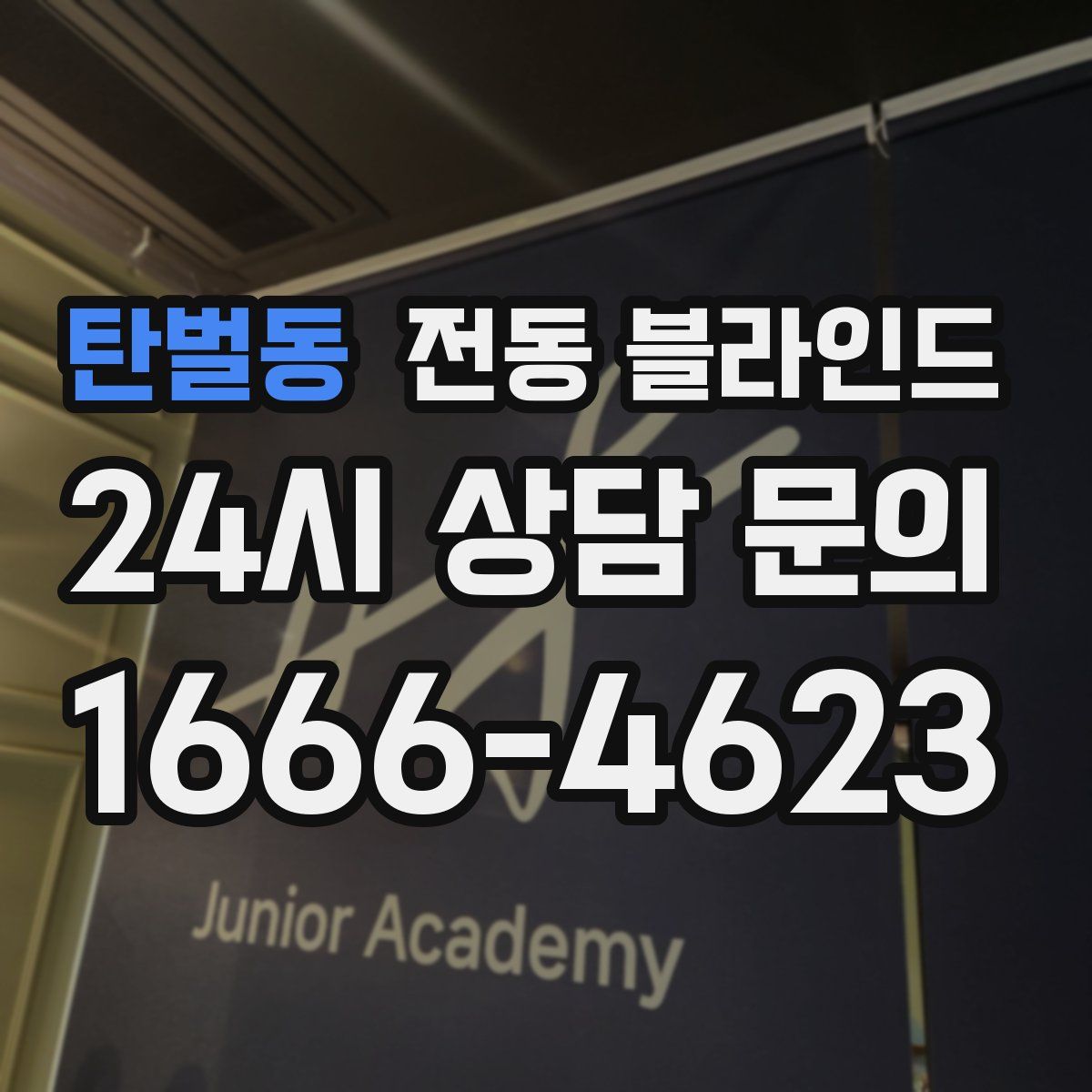 탄벌동 전동 블라인드
