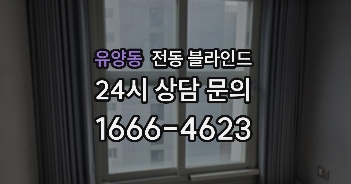 유양동 전동 블라인드
