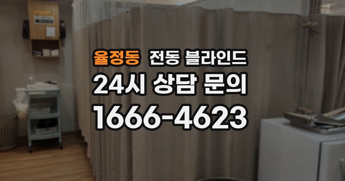 율정동 전동 블라인드
