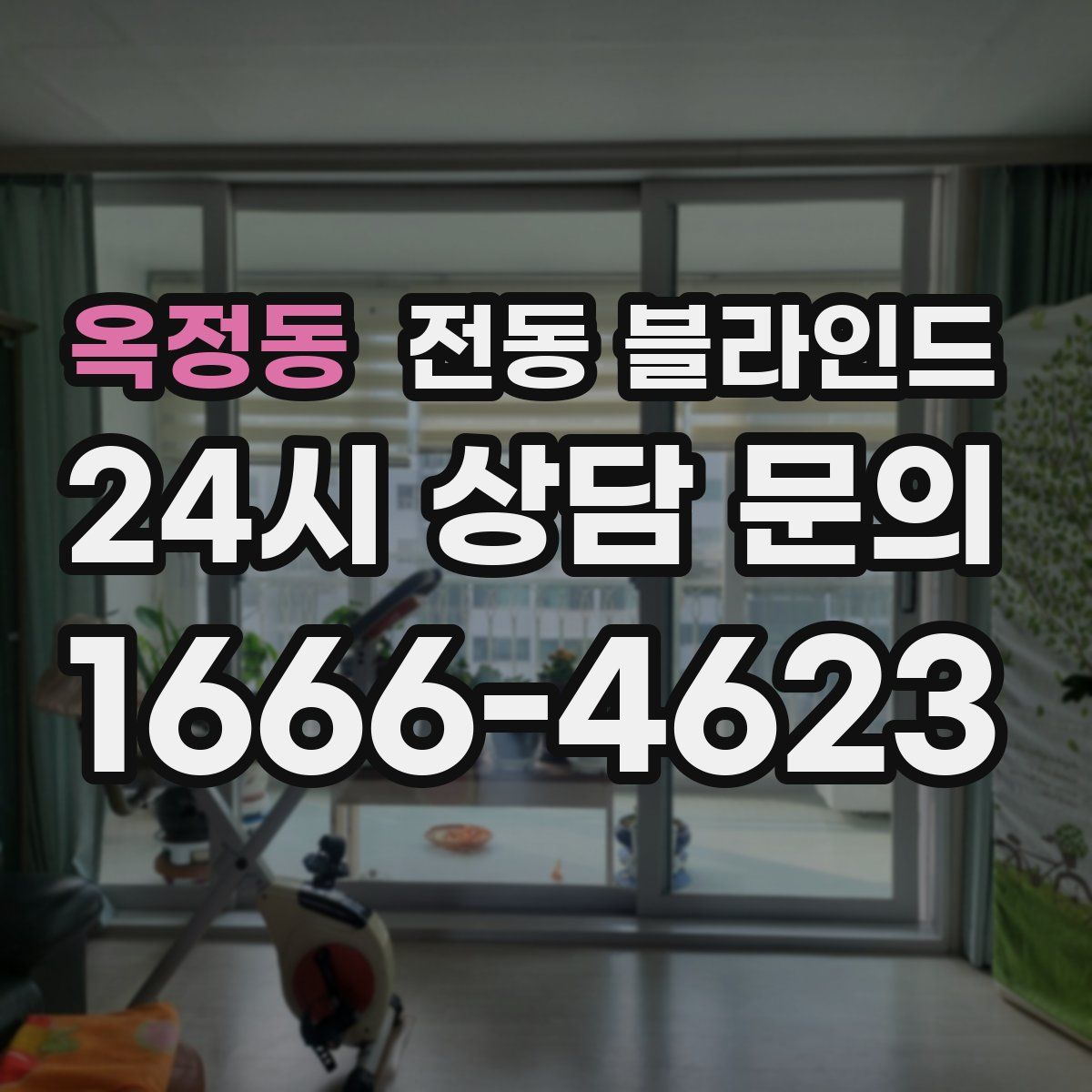 옥정동 전동 블라인드