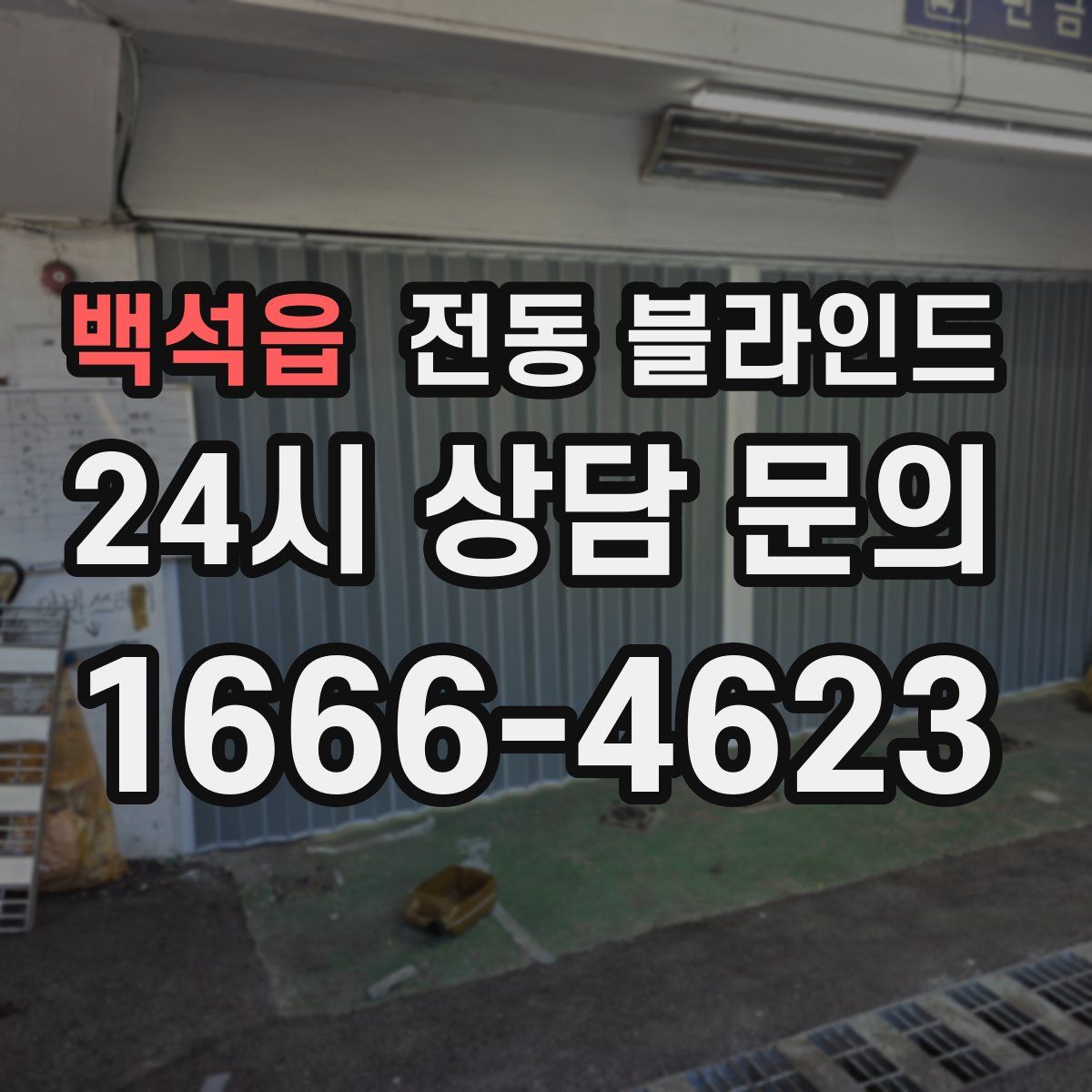 백석읍 전동 블라인드