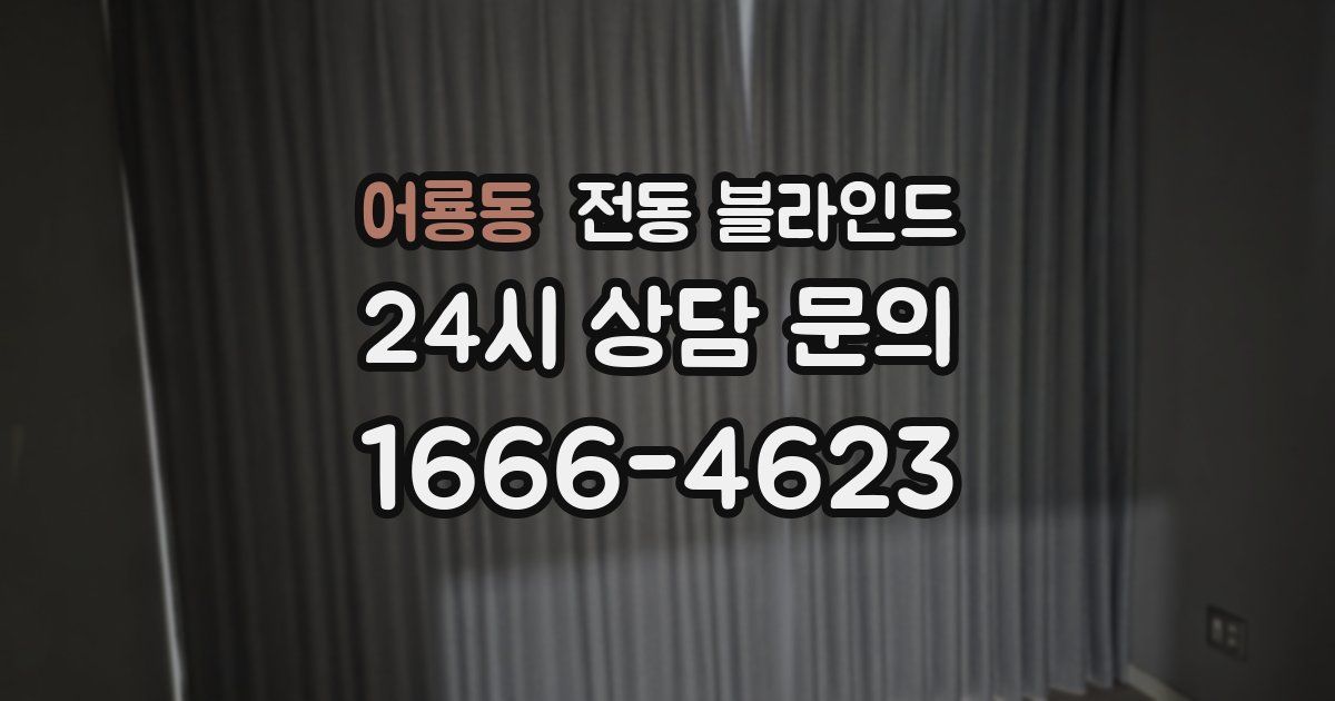 어룡동 전동 블라인드