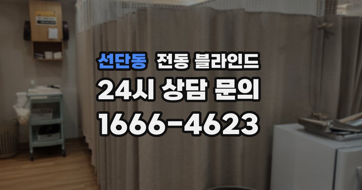 선단동 전동 블라인드