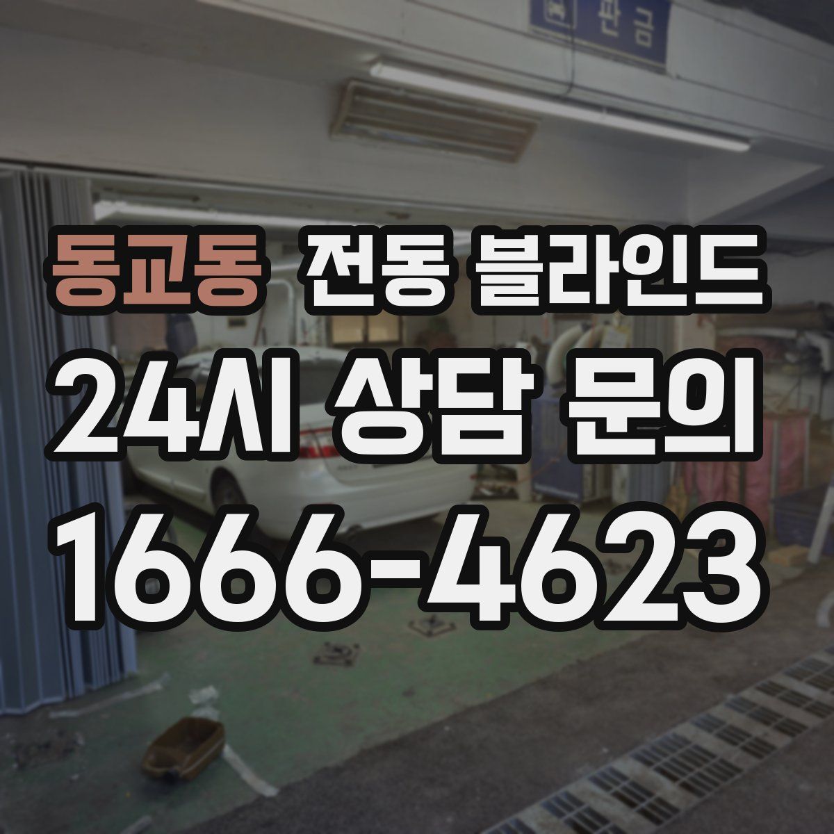 동교동 전동 블라인드