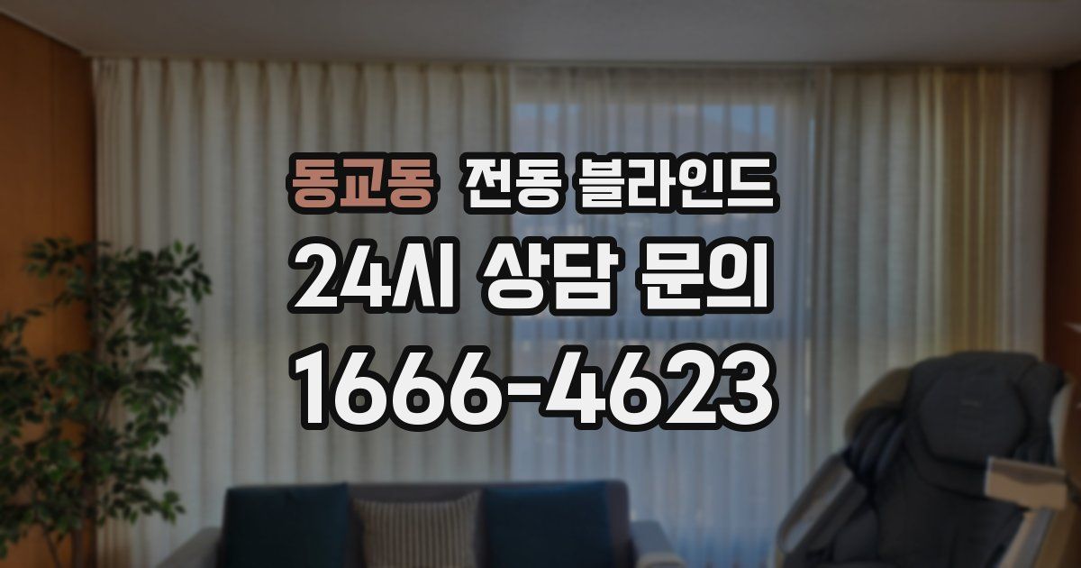 동교동 전동 블라인드