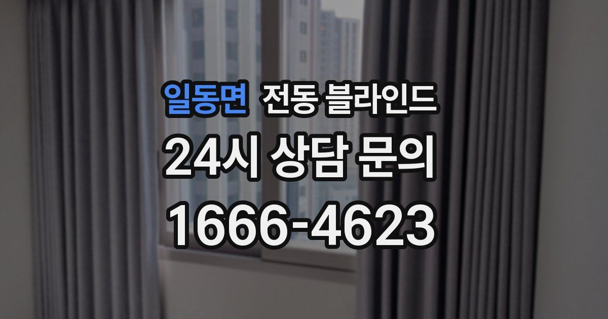 일동면 전동 블라인드