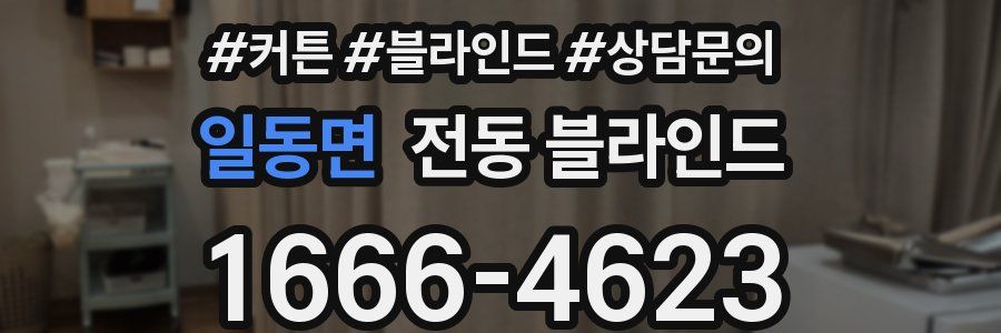 일동면 전동 블라인드