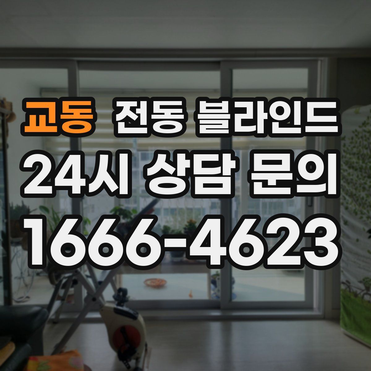 교동 전동 블라인드