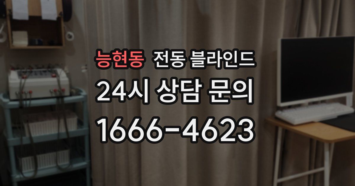 능현동 전동 블라인드