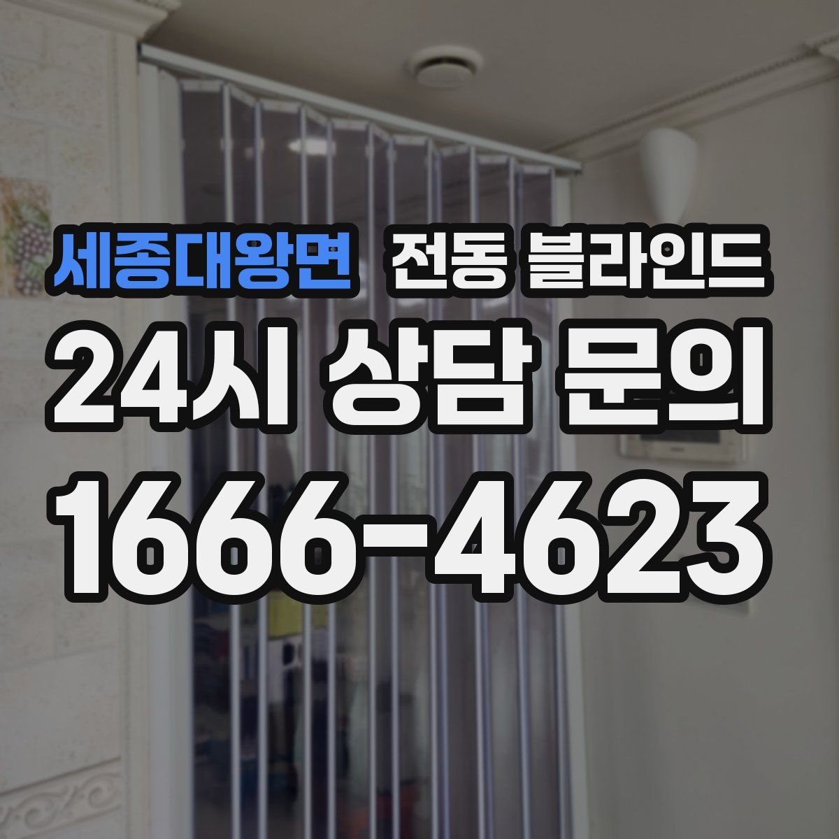 세종대왕면 전동 블라인드
