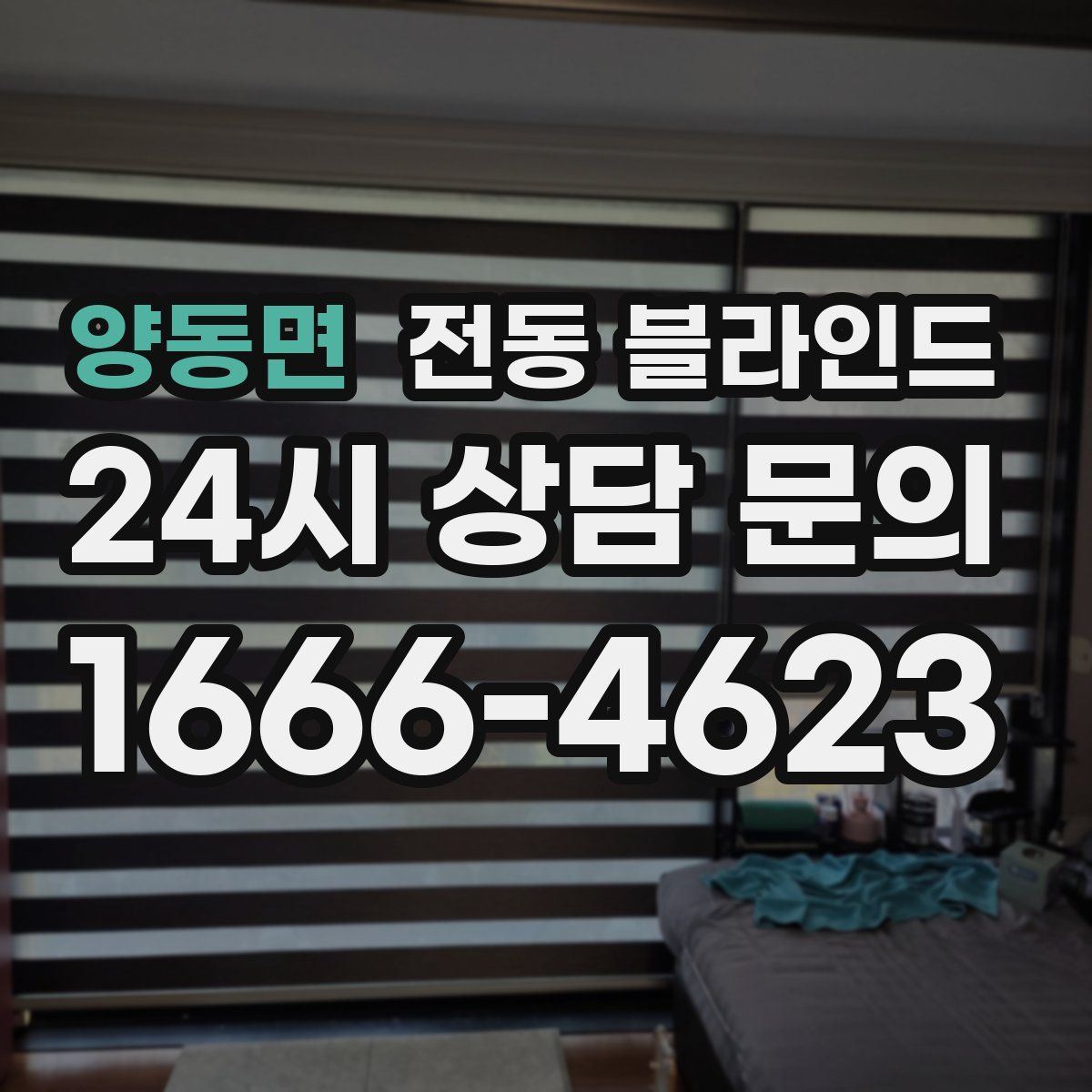 양동면 전동 블라인드