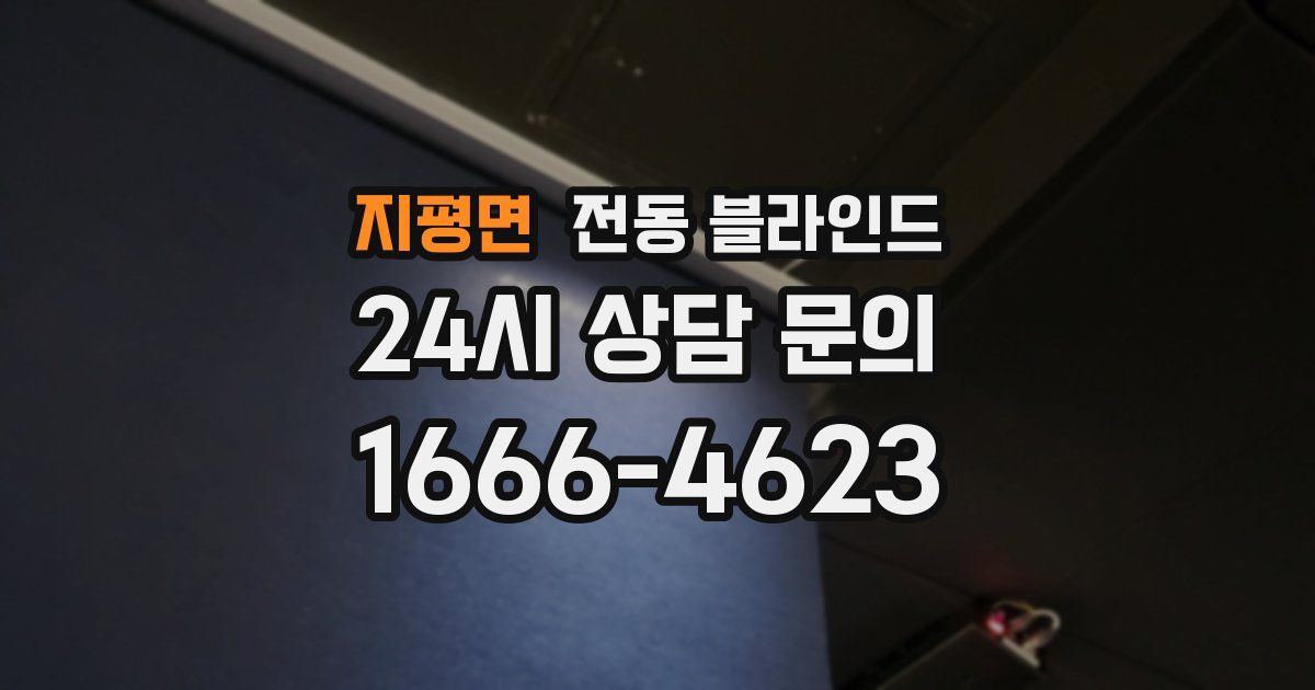지평면 전동 블라인드