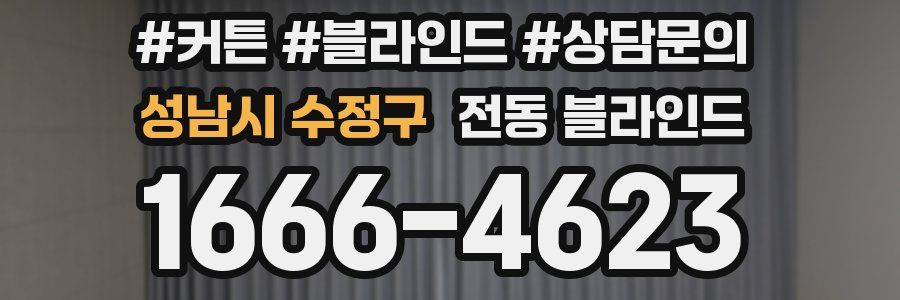 성남시 수정구 전동 블라인드