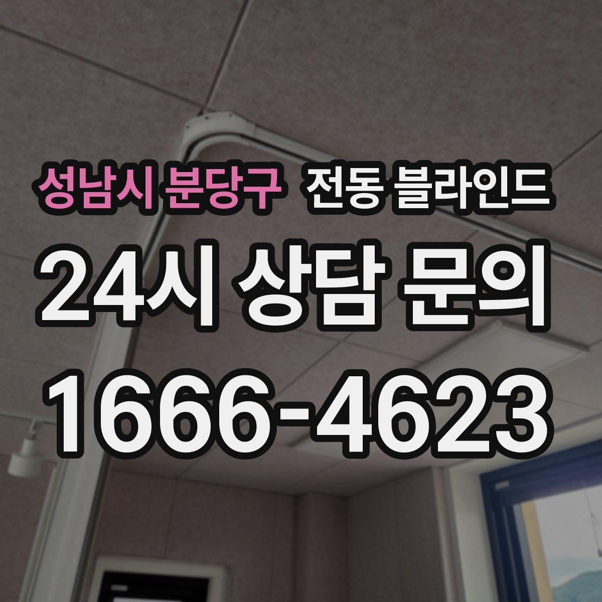 성남시 분당구 전동 블라인드