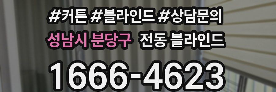성남시 분당구 전동 블라인드