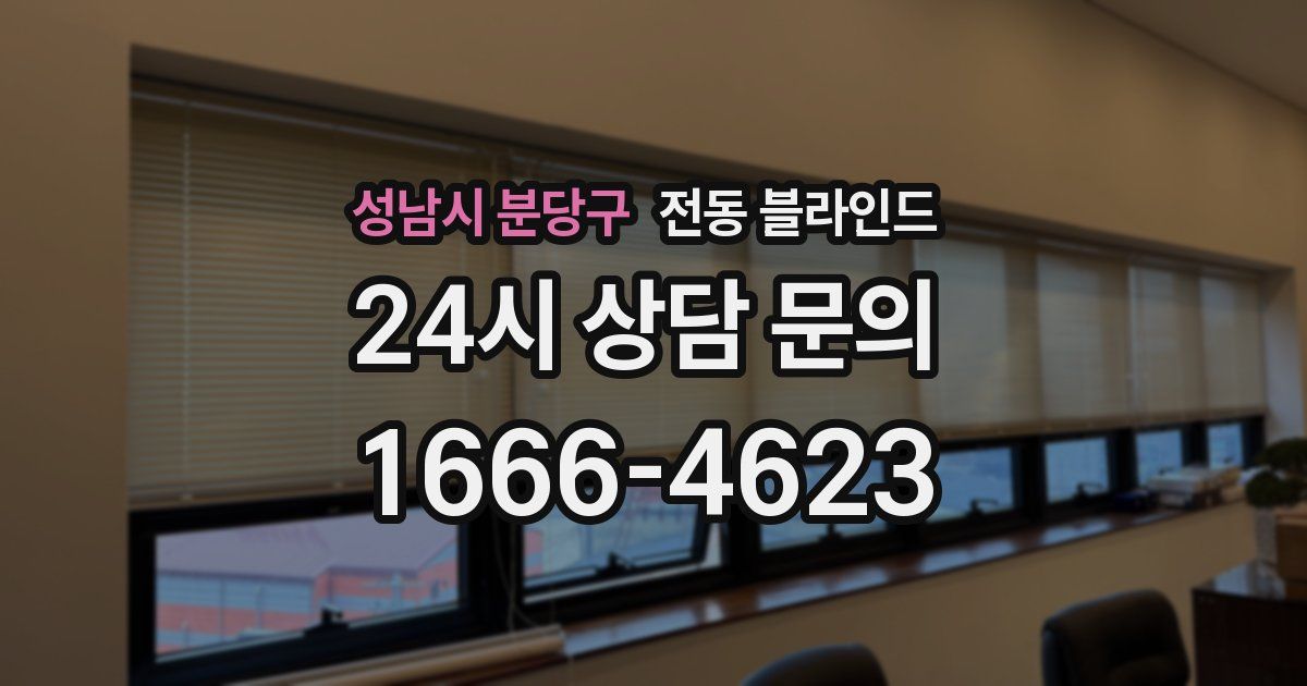 성남시 분당구 전동 블라인드