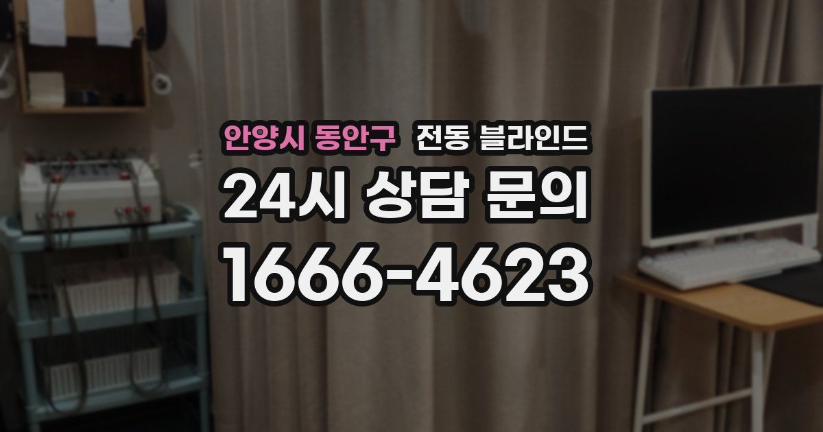 안양시 동안구 전동 블라인드