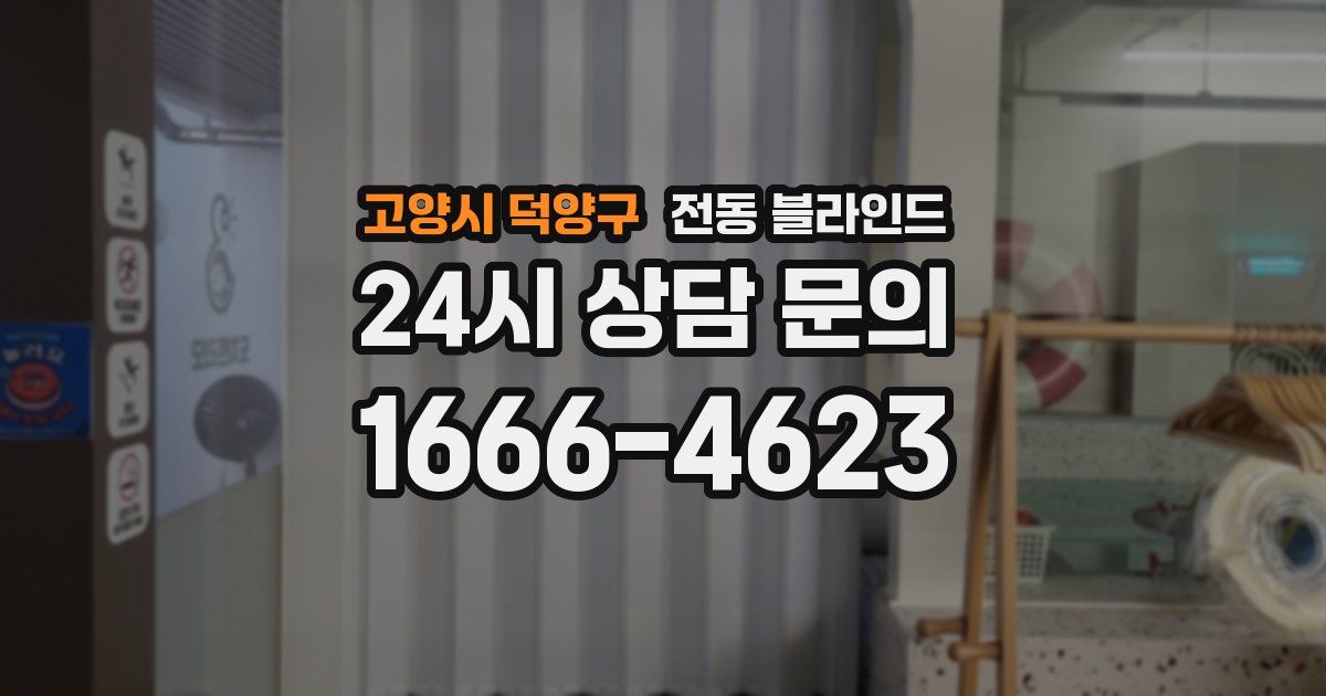 고양시 덕양구 전동 블라인드