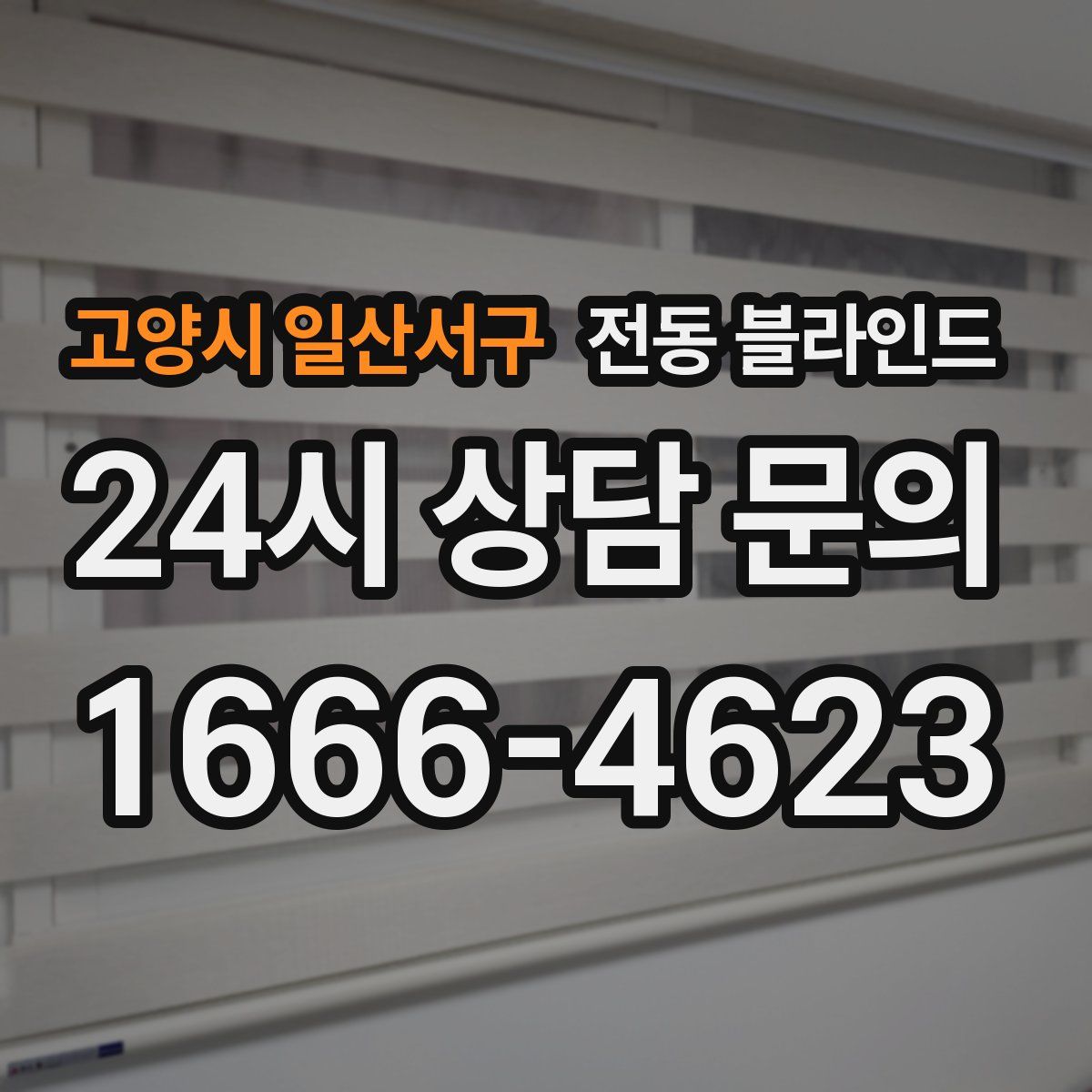 고양시 일산서구 전동 블라인드