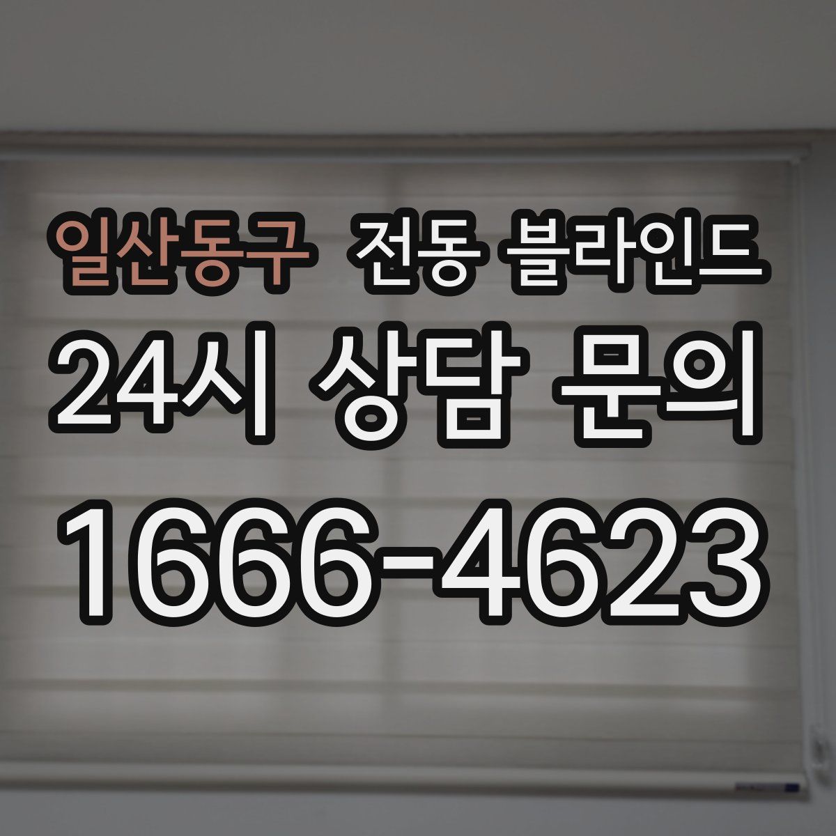 일산동구 전동 블라인드