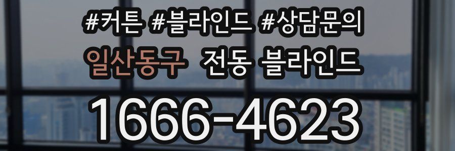 일산동구 전동 블라인드