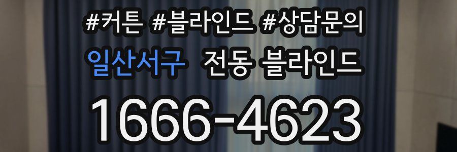 일산서구 전동 블라인드