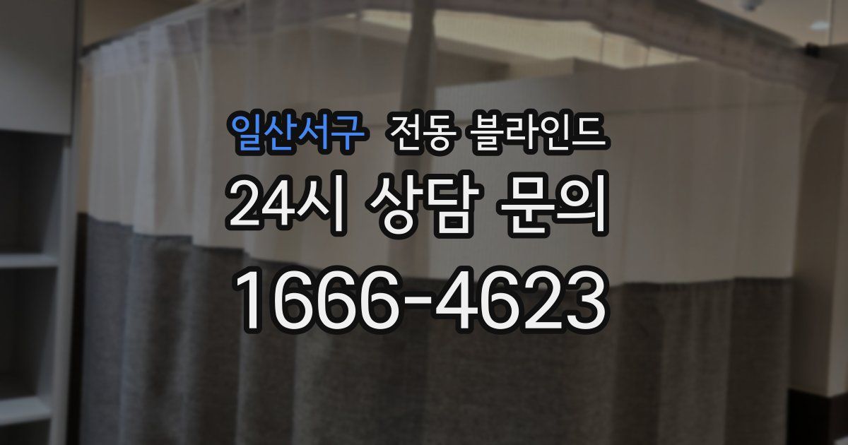 일산서구 전동 블라인드