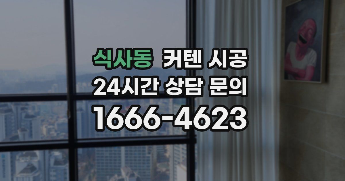 식사동 커텐 시공
