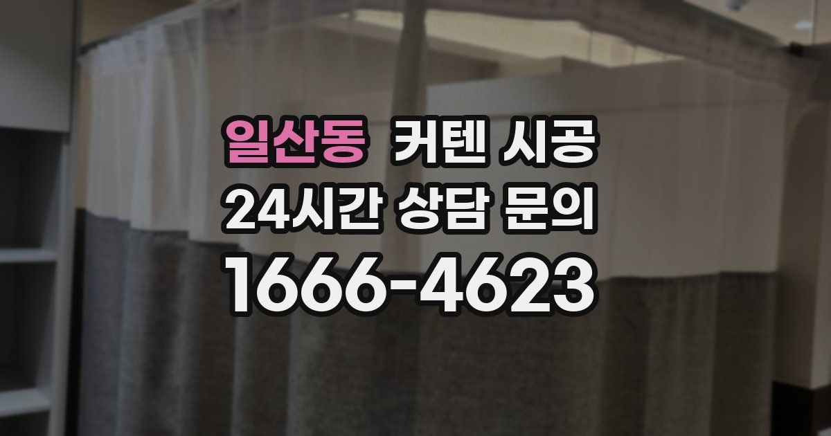 일산동 커텐 시공