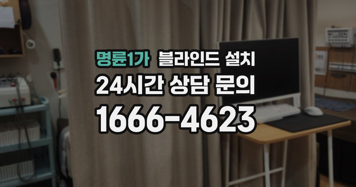 명륜1가 블라인드 설치