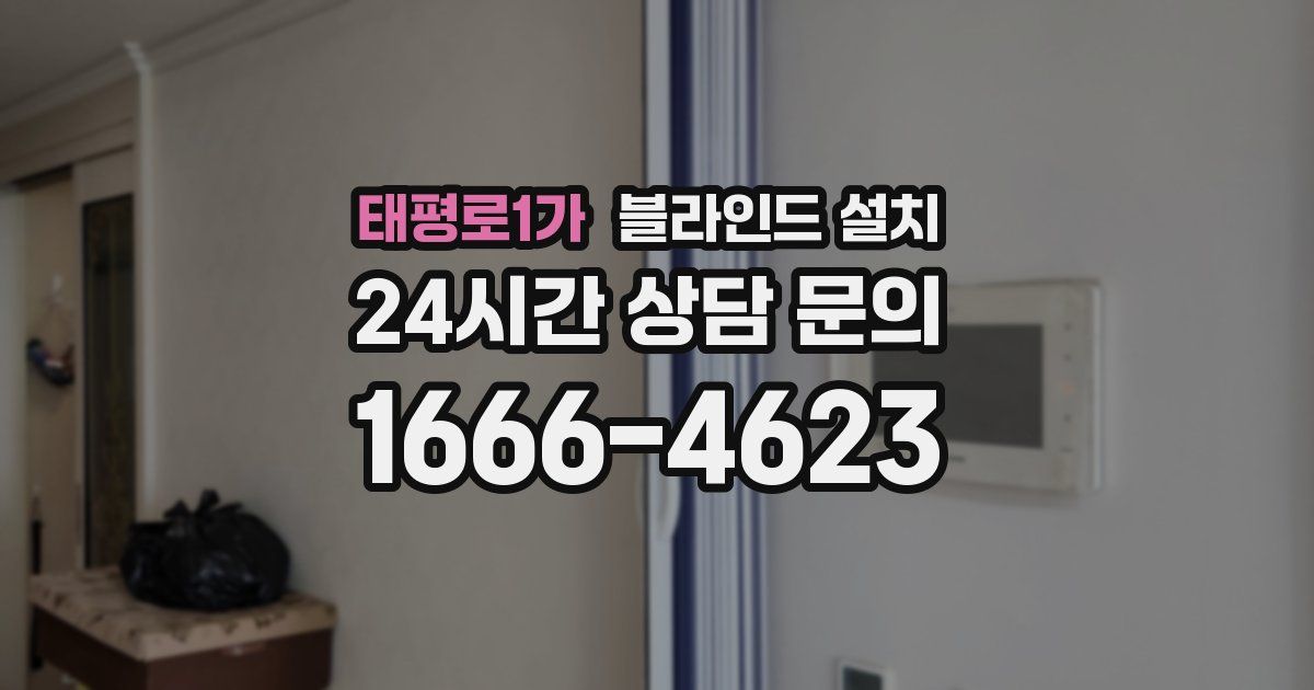 태평로1가 블라인드 설치
