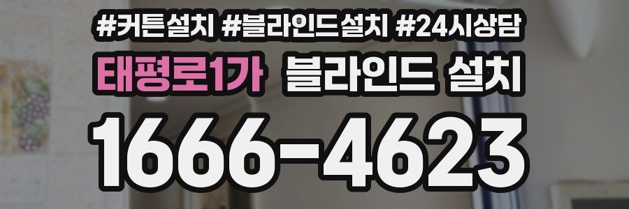 태평로1가 블라인드 설치